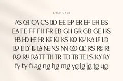 Flavour - Modern Luxury Sans Serif Product Image 9