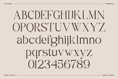 Rameena - Modern Elegant Serif Product Image 9