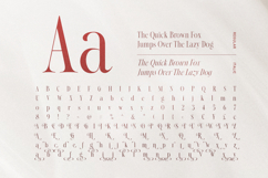 Native Designer - Delicate Serif Product Image 9