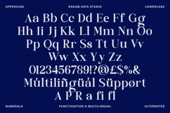 Rethena - Modern Serif Font Product Image 8