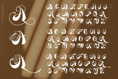 Velvoria Script Product Image 9