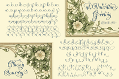 Bafirolic Classic Script Product Image 9