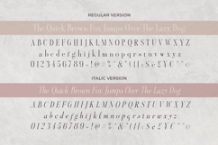 Aesthetic Styles - Tall Serif Product Image 9