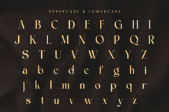Flangel - Luxury Serif Font Product Image 9