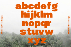 Sugreen Organic Display Font Product Image 7