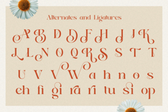 Serene Bliss - Modern Branding Font Product Image 9