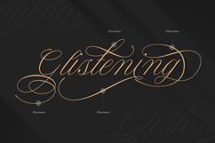 Berseka - Calligraphy Script Font Product Image 9