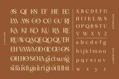 Moistly Vengions - Modern Serif Font Product Image 9