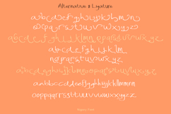 Nigory Handwritten Font Product Image 8