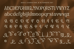 Varonde - Luxury Serif Font Product Image 8