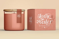 Hasly Roaster - Beauty Italic Serif Font Product Image 9