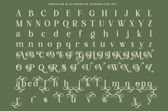 Avoleina - Luxury Serif Font Product Image 9