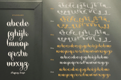 Maffisoy Script Product Image 9