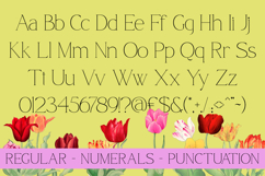 Qamora - Modern Elegant Serif Font Product Image 9