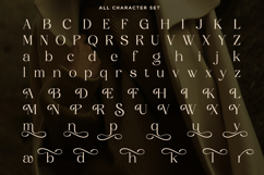 Soluga - Luxury Elegant Serif Product Image 9