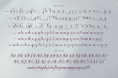 Serahine Script Product Image 9