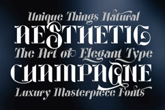 Geoffrey Classic Serif Product Image 9