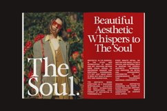 Serefine - Elegant &amp; Romantic Serif Product Image 9