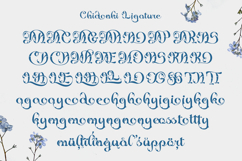 Chidonki Decorative Font Product Image 9