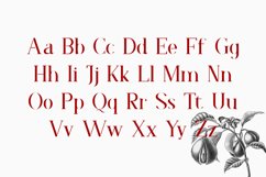 Faradize Product Image 9