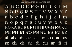 Briska - Modern Ligature Serif Product Image 9