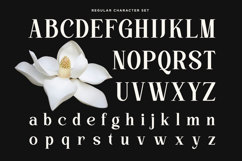 Kinder Land - Elegant Serif Font Product Image 9