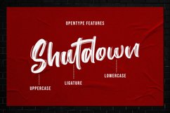 Shutdown Brush Product Image 9
