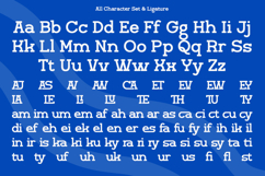 Scientify - Monoline Slab Serif Font Product Image 8