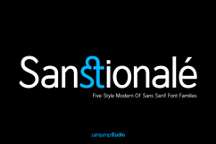 Sanstionale Product Image 1