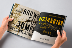 BORELA A Modern Sans Serif Typeface Family Product Image 11