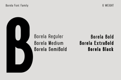 BORELA A Modern Sans Serif Typeface Family Product Image 2