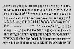 Stancybold - Modern Serif Display Product Image 3
