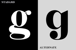 Stancybold - Modern Serif Display Product Image 4