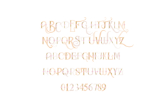 Artemisia Anniversary Color Font Product Image 3