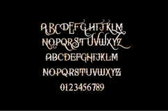 Artemisia Anniversary Color Font Product Image 4