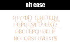 Artemisia Anniversary Color Font Product Image 2