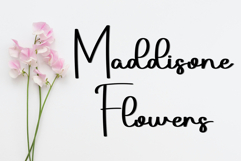 Arthur Product Image 4