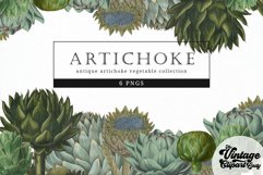 Artichoke Vintage Vegetable Botanical Clip Art Product Image 1