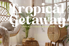 Artists Kindle - New Modern Alternate Serif Product Image 6