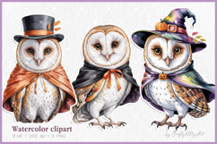 Halloween barn owl PNG clipart, Cute watercolor animals Product Image 1