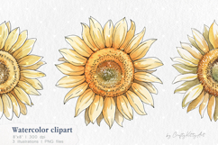Watercolor Sunflower clipart, single Sunflowers PNG clip art Product Image 1