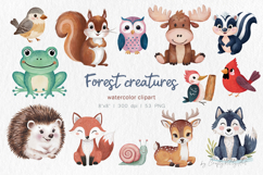 Cute watercolor forest creatures, Animals PNG clipart bundle Product Image 1