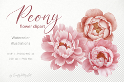 Vintage pastel pink Peony flowers, Watercolor PNG clipart Product Image 1