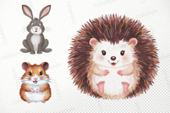 Cute watercolor forest creatures, Animals PNG clipart bundle Product Image 2