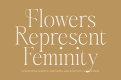 Aska - Modern Serif Font Product Image 10