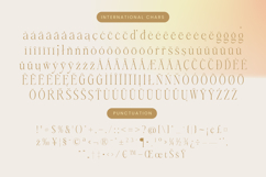 Aska - Modern Serif Font Product Image 19