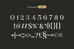 Asoga Modern Elegant Fancy Serif Font Product Image 11