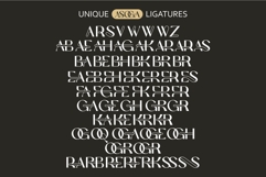 Asoga Modern Elegant Fancy Serif Font Product Image 8