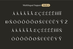Asoga Modern Elegant Fancy Serif Font Product Image 9