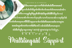 Asphalt District - Modern Bold Handwritten Product Image 19